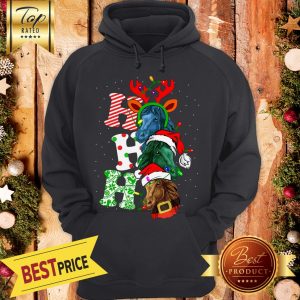 Ho Ho Ho Horse Reindeer Christmas Santa Laugh Hoodie