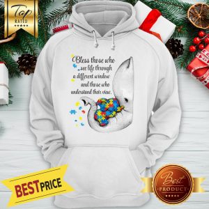 Official Autism Puzzle Elephants Bless Those Who See Life Through Window Hoodie