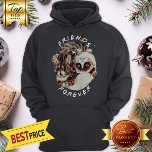 Official Lil Bub And Grumpy Cat Friends Forever Hoodie