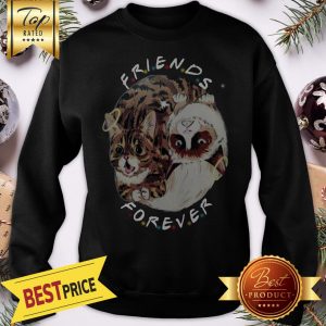 Official Lil Bub And Grumpy Cat Friends Forever Sweatshirt