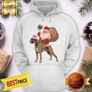 Pretty Santa Riding Boxer Christmas Hoodie