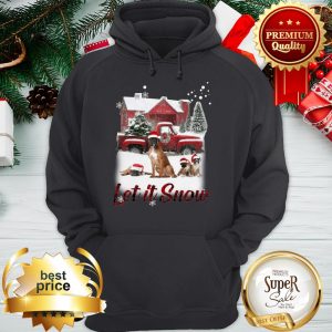 Santa Boxer Let It Snow Christmas Hoodie