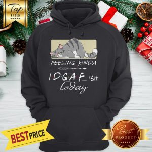 Tired Cat Feeling Kinda IDGAF Ish Today 2020 Hoodie
