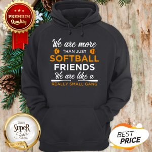 We Are More Than Just Softball Friends Really Small Gang Hoodie