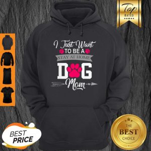 Awesome I Just Want To Be A Stay At Home Dog Mom Mothers Day Hoodie
