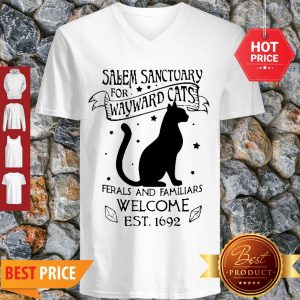 Cat Salem Sanctuary For Wayward Cats Ferals And Familiars Welcome V-neck