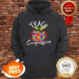 Nice Autism Awareness Teach Compassion Hoodie