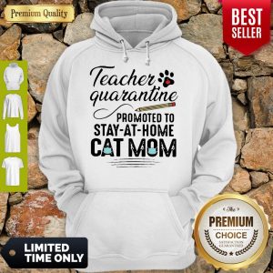 Awesome Teacher Quarantine Promoted To Stay At Home Cat Mom Hoodie