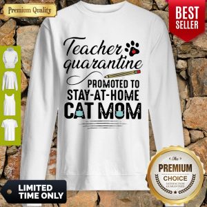 Awesome Teacher Quarantine Promoted To Stay At Home Cat Mom Sweatshirt