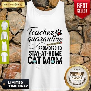 Awesome Teacher Quarantine Promoted To Stay At Home Cat Mom Tank Top