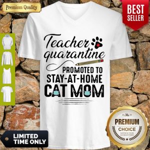 Awesome Teacher Quarantine Promoted To Stay At Home Cat Mom V-neck