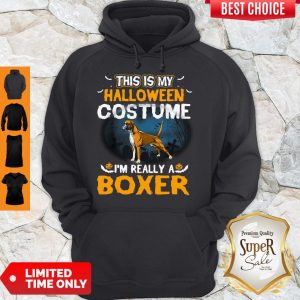 Perfect This Is My Halloween Costume I’m Really A Boxer Hoodie