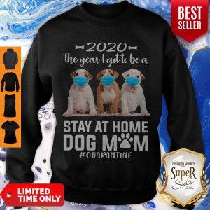 Funny 2020 The Year I Got To Be A Stay At Home PitBull Dog Mom Quarantine Sweatshirt