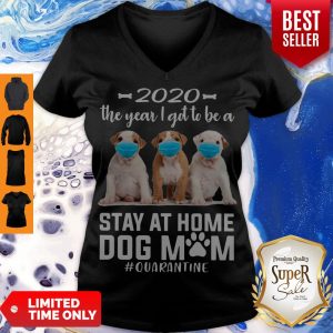 Funny 2020 The Year I Got To Be A Stay At Home PitBull Dog Mom Quarantine V-neck