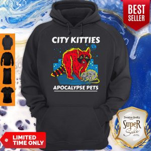 Funny City Kitties Apocalypse Pets Hoodie