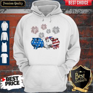 Independence Day Mouses Wear Bow Tie Firework Hoodie