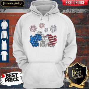 Independence Day Peacocks Wear Bow Tie Firework Hoodie