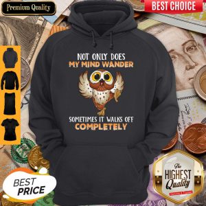Owl Not Only Does My Mind Wander Sometimes It Walks Off Completely Hoodie