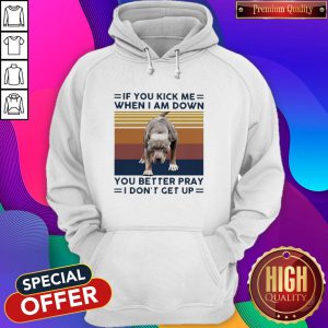 Pitbull If You Kick Me When I Am Down You Better Pray I Don’t Get Up Vintage V-neck