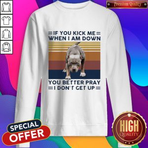 Pitbull If You Kick Me When I Am Down You Better Pray I Don’t Get Up Vintage Shirt
