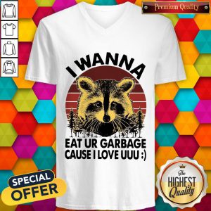 Raccoon I Wanna Eat Your Garbage Cause I Love You Vintage V-neck