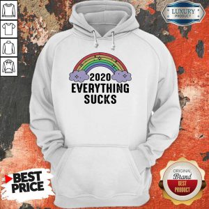 Rainbow 2020 Everything Sucks Hoodie