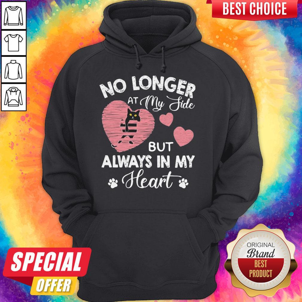 back-cat-no-longer-at-my-side-but-always-in-my-heart-pink- hoodie back-cat-no-longer-at-my-side-but-always-in-my-heart-pink- hoodie