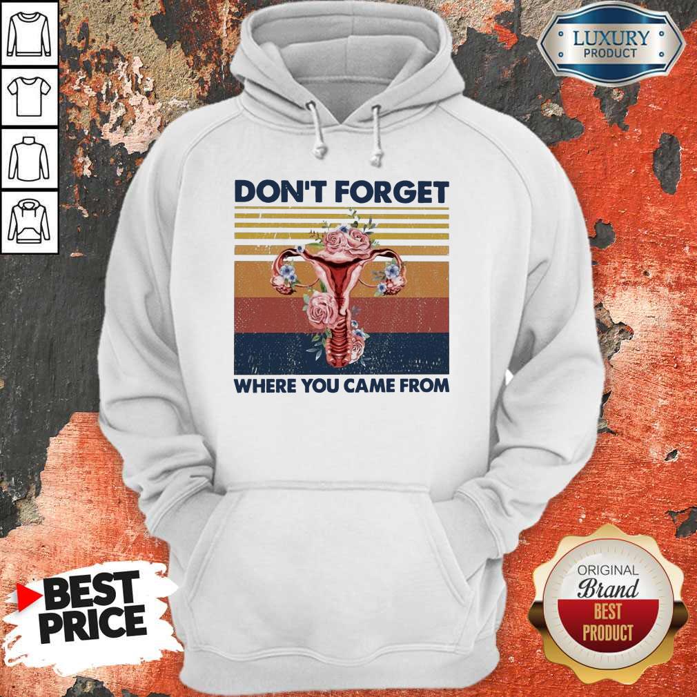 dont-forget-where-you-came-from hoodie dont-forget-where-you-came-from hoodie