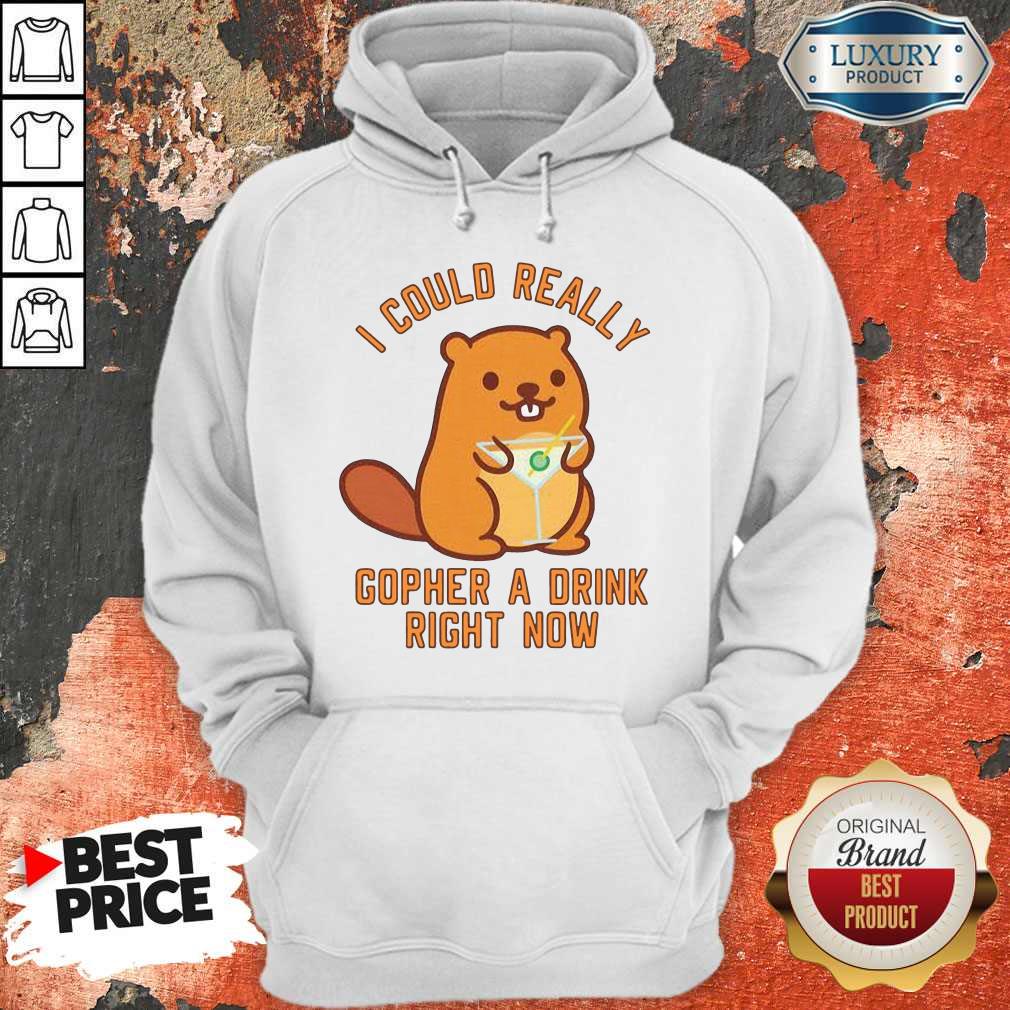 i-could-really-gopher-a-drink-right-now hoodie i-could-really-gopher-a-drink-right-now hoodie
