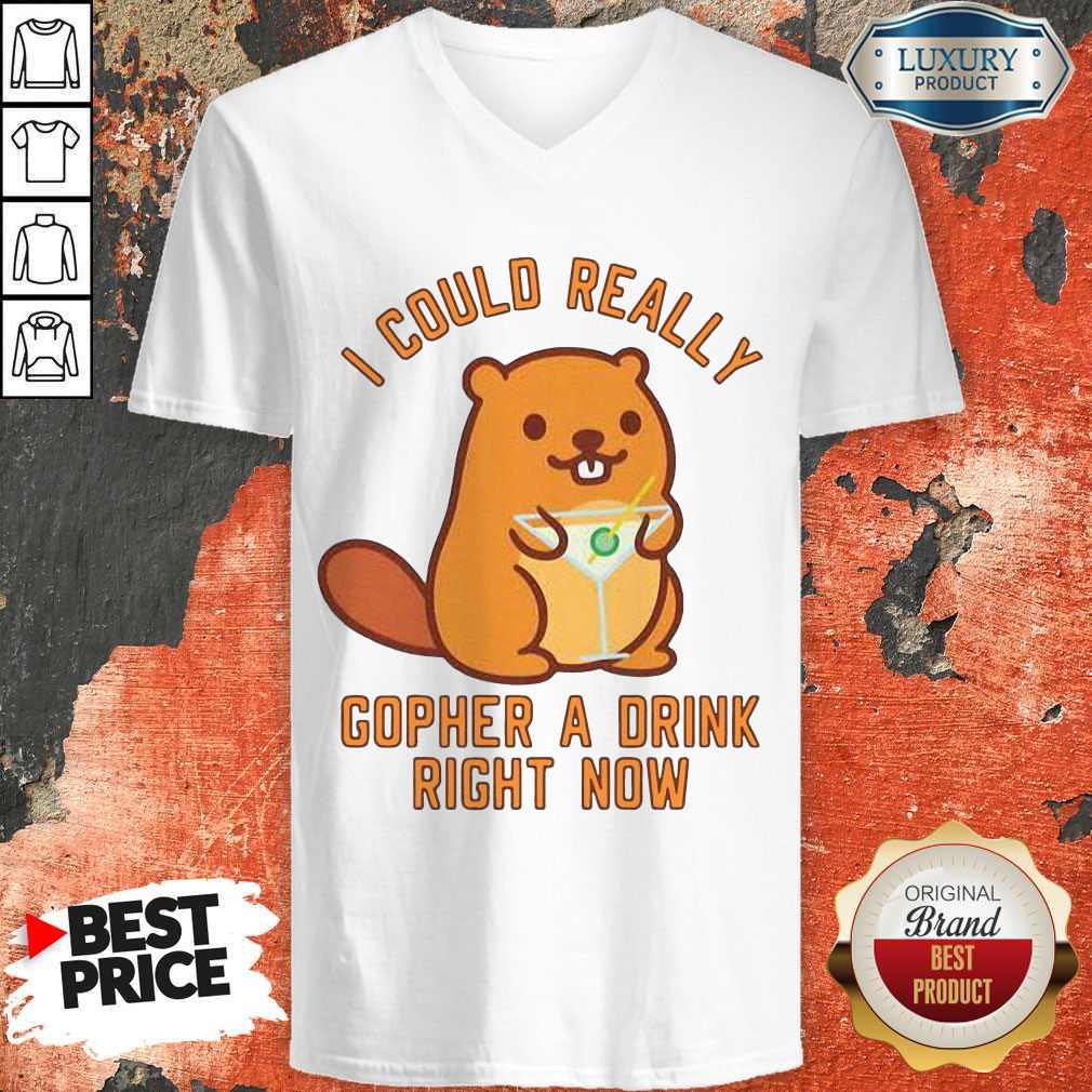 i-could-really-gopher-a-drink-right-now v-neck i-could-really-gopher-a-drink-right-now v-neck