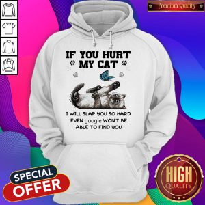 If You Hurt My Cat I Will Slap You So Hard Even Google Won't Be Able To Find You hoodie