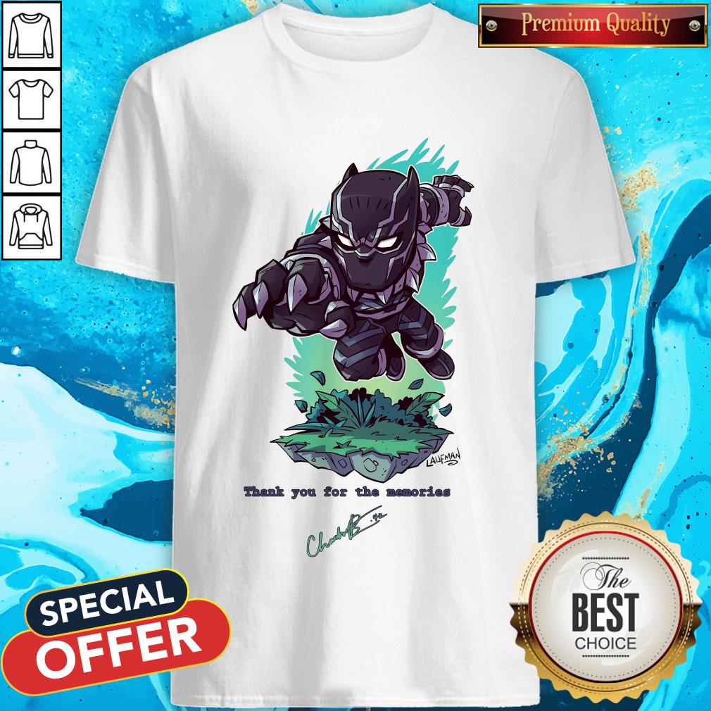 The Superhero Black Panther In The Marvel Cinematic Universe Rip Shirt