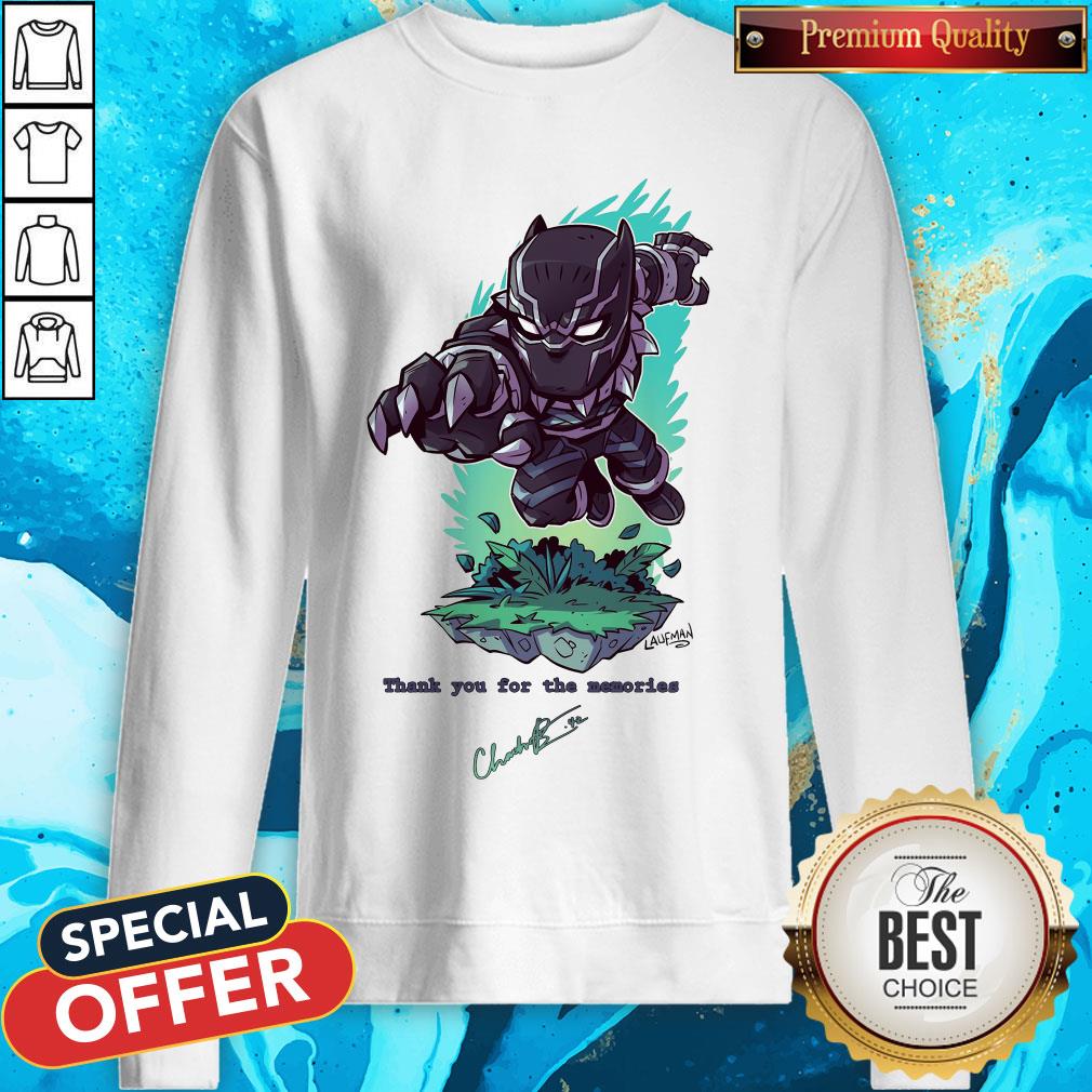 The Superhero Black Panther In The Marvel Cinematic Universe Rip Shirt
