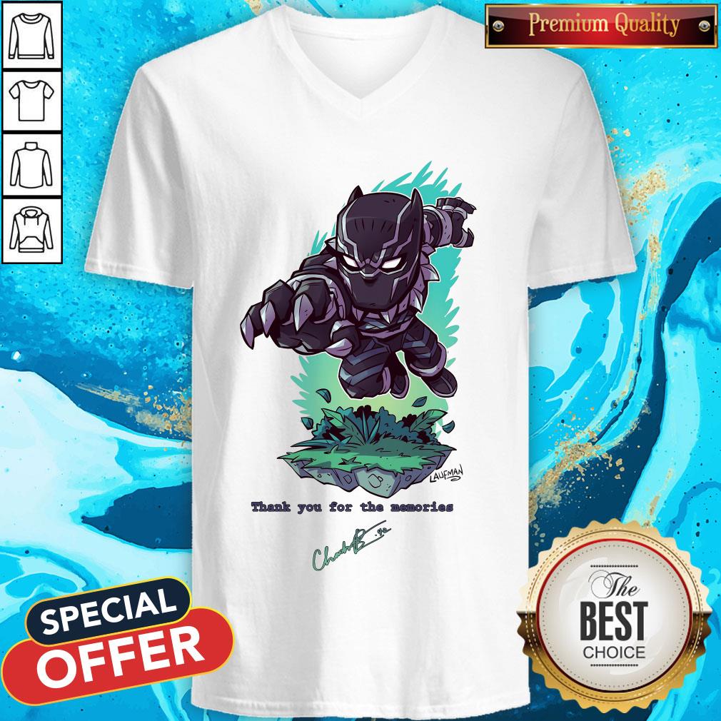 The Superhero Black Panther In The Marvel Cinematic Universe Rip Shirt