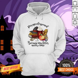 Rara Professional Transfiguration Potions Because My Letter Never Came Hoodie