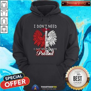 Awesome I Don’t Need Therapy I Just Need To Go To Poland Hoodie - Design By Teeshirtbear.com
