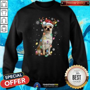 Cute Graphic Chihuahua Xmas Lights 2020 Sweatshirt - Design By Togethertee.com