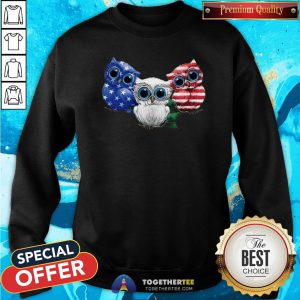 Cute Owls American Flag Sweatshirt - Design By Togethertee.com