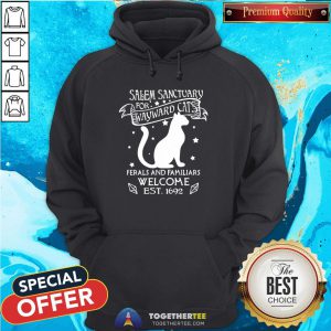 Happy Cat Salem Sanctuary For Wayward Cats Ferals And Familiars Welcome Est 1692 Hoodie - Design By Togethertee.com