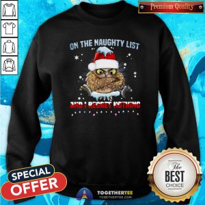 Nice Owl On The Naughty List And I Regret Nothing Christmas Sweatshirt - Design By Togethertee.com