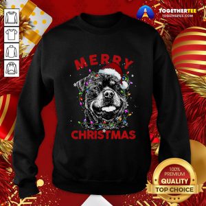 Beautiful Rottweiler Christmas Lights Sweatshirt - Design By Togethertee.com