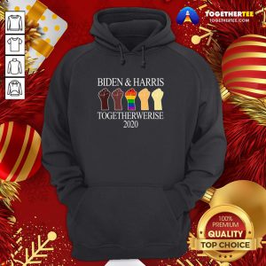 Funny LGBT Joe Biden Kamala Harris 2020 Hand Together We Rise Hoodie - Design By Togethertee.com