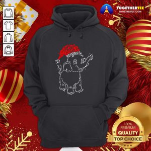 Great Elephant Santa Light Christmas Hoodie - Design By Togethertee.com