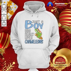 Colorful Just A Boy Who Really Loves Chameleons Hoodie - Design By Togethertee.com