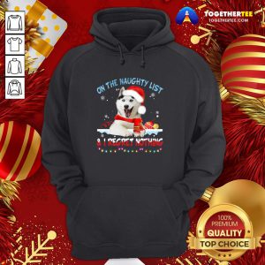 Hot Husky Santa On The Naughty List And I Regret Nothing Christmas Light Hoodie - Design By Togethertee.com