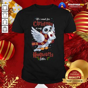 Nice All I Want For Christmas Is My Hogwarts Letter Shirt - Design By Togethertee.com