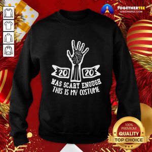 Premium 2020 Was Scary Enough This Is My Costume Sweatshirt - Design By Togethertee.com