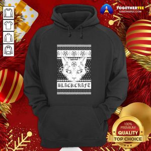 Cat Craft Ugly Christmas Hoodie - Design By Togethertee.com
