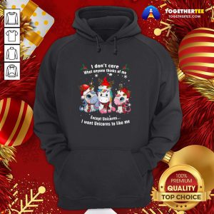 Pretty Unicorn Reindeer I Don’t Care What Anyone Thinks Of Me Except Unicorns Merry Christmas Hoodie - Design By Togethertee.com