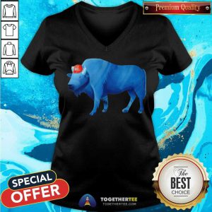 Vintage Buffalo Bills V-neck - Design By Togethertee.com
